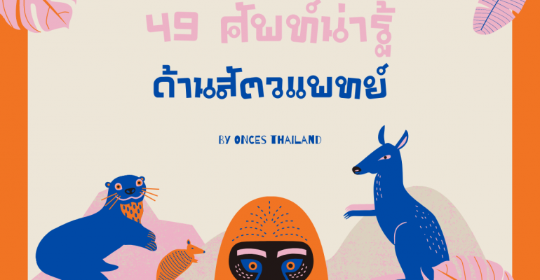 49 คำศพท์น่ารู้ ด้านสัตวแพทย์